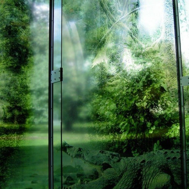 Vinyle transparent vitrine